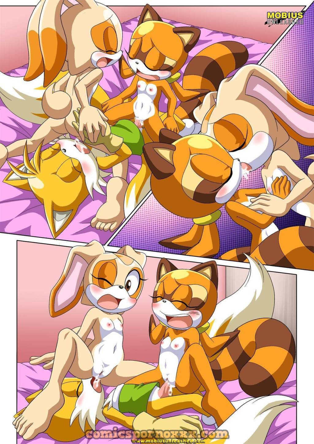 Tails & Cream (Colas y Crema Sonic) - 11 - Comics Porno - Hentai Manga - Cartoon XXX