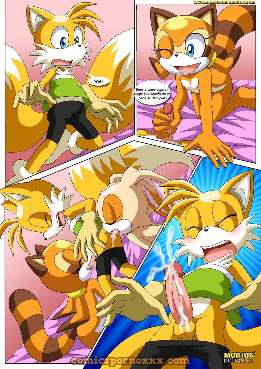 Tails & Cream (Colas y Crema Sonic) - 8 - Comics Porno - Hentai Manga - Cartoon XXX