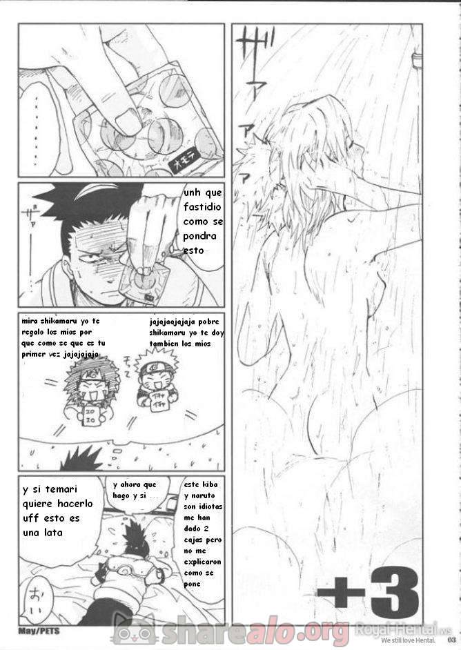 Naruto +3 (Sexo entre Shikamaru Nara y Temari) - 5 - Comics Porno - Hentai Manga - Cartoon XXX