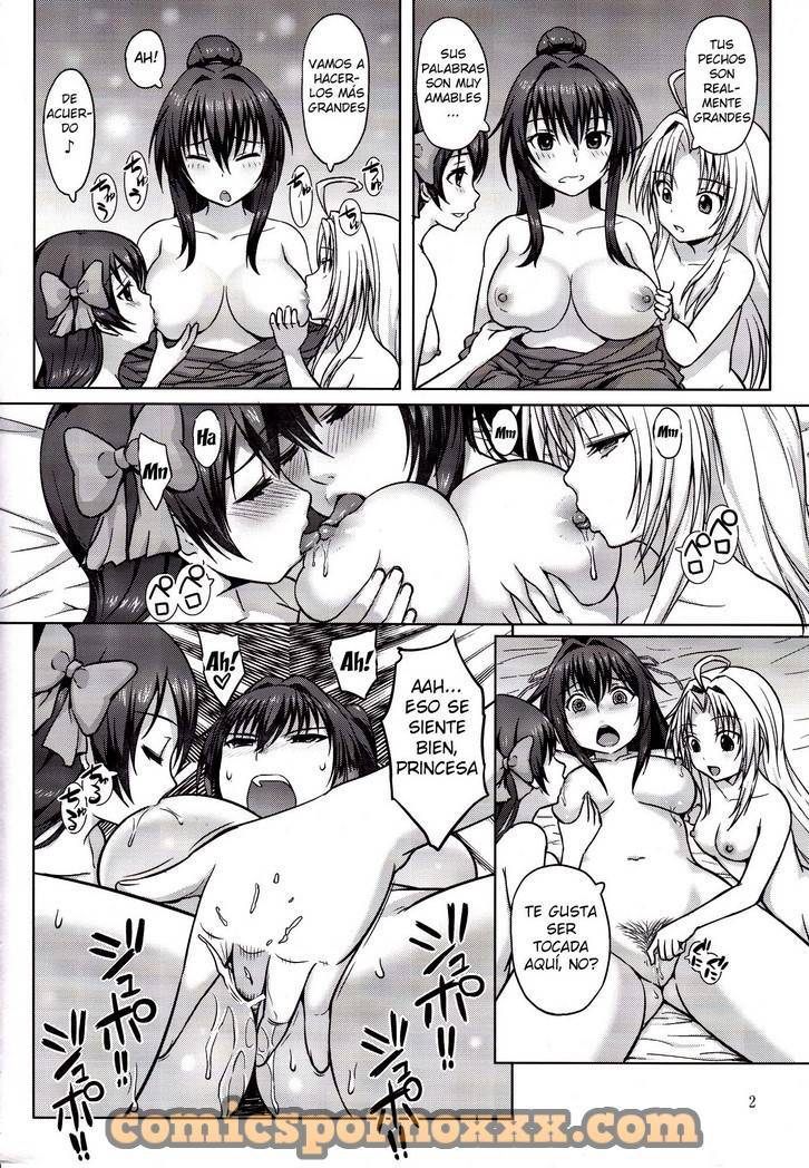 La Princesa y su Entrenamiento Especial - 3 - Comics Porno - Hentai Manga - Cartoon XXX